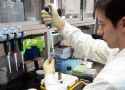 Biocodex abre convocatoria para apoyar investigaciones acerca de microbiota en México