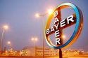Bayer impulsa la innovación en la lucha contra el cáncer