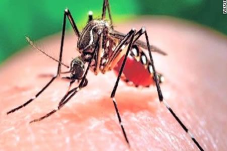 Virus del Zika también puede afectar al corazón