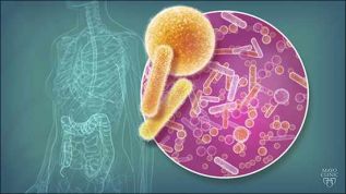 El microbioma, componente fundamental de la medicina personalizada