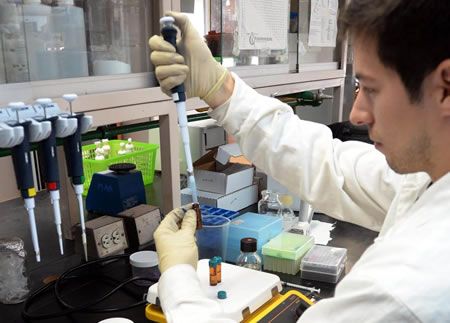 Invitan a mejores prácticas médicas para reducir errores en laboratorios clínicos