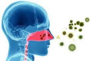 La microbiota nasal también está relacionada con la severidad de la dermatitis atópica