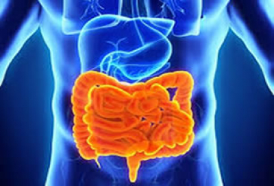 Más del 90% de las enfermedades podrían estar relacionadas con el intestino