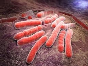 Innovación: Renueva la esperanza en la ancestral lucha contra la tuberculosis