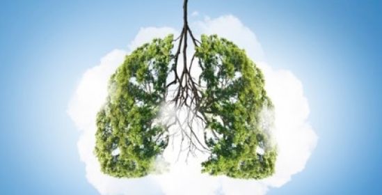 Cáncer de pulmón en México: importante conocer un panorama integral