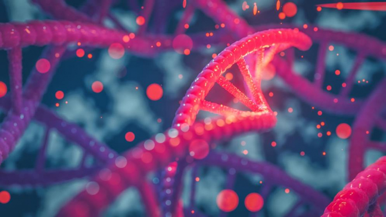El poder del ADN y su valor en la medicina personalizada