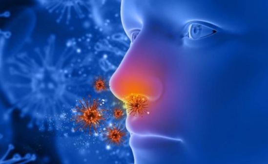 El cuidado de la microbiota intestinal podría reducir el riesgo de desarrollar enfermedades respiratorias y alérgicas