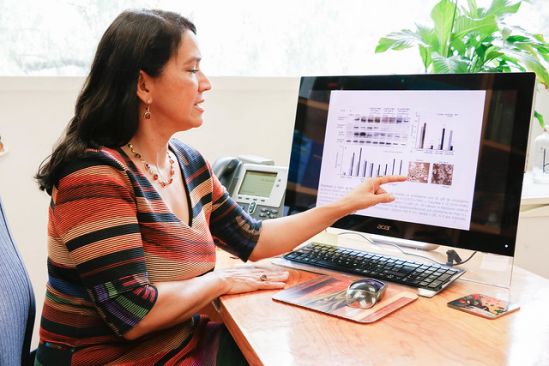 Compuesto del cuachalalate inhibe la proliferación de células cancerosas