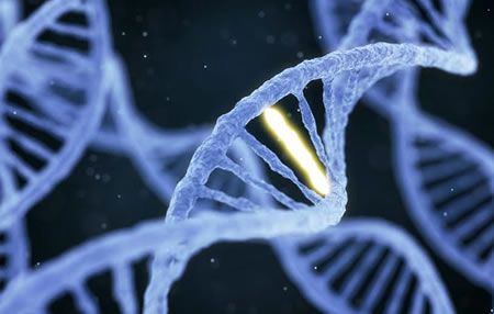 Científicos de Mayo Clinic crean nuevo recurso genético para pronóstico de síndrome mielodisplásico