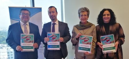 Hepatitis B y C, e hígado graso, principales factores de riesgo para cáncer de hígado