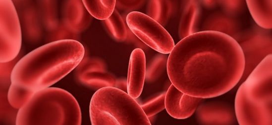 Demuestra emicizumab reducción del 96% de las hemorragias tratadas en pacientes que viven con hemofilia A sin inhibidores del factor VIII