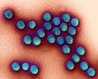 OPINIÓN :: Siete datos que debes saber sobre el rotavirus
