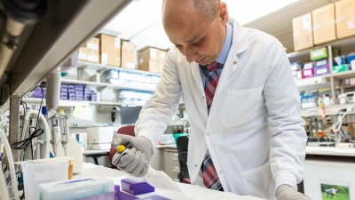 La terapia CAR-T envejece: científicos de Mayo Clinic revelan un problema crucial