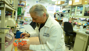 Avanza en la UNAM fármaco contra la enfermedad de Chagas