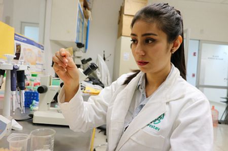 Investigadores del Cinvestav analizan papel de células asesinas contra tuberculosis