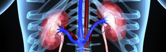 FORO :: Analizan panorama de salud renal para los mexicanos