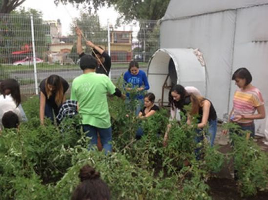 Alumnos del TecMTY implementan plan para favorecer la seguridad alimentaria en la comunidad Mazahua 