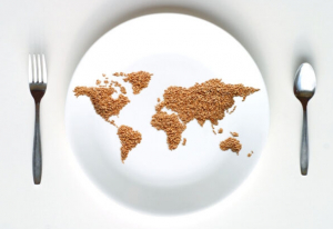 Más de 800 millones de personas pasan hambre en el mundo