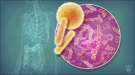 Método de nutrición personalizado para el control de los niveles de la glucosa sanguínea
