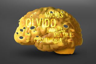 La memoria elimina información irrelevante