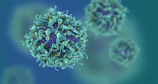 Inmunoterapia, directo al tumor