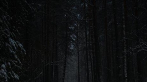 La falta de luz solar en el invierno afecta al cerebro
