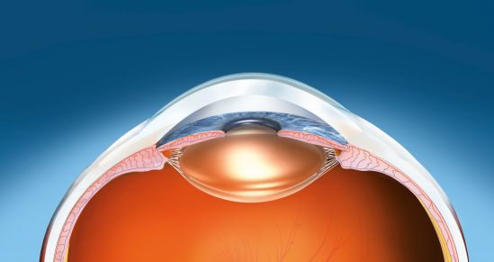 ¿De qué se enferman tus ojos?