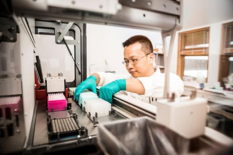 Boehringer Ingelheim y Gubra investigan tratamientos innovadores contra la obesidad
