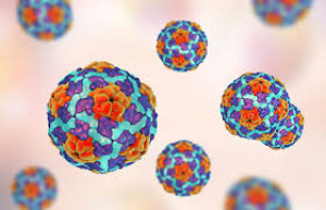 7 datos sobre la hepatitis A
