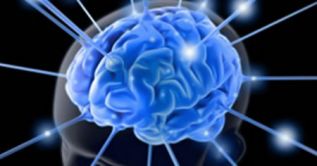 Identifican biomarcador para diagnosticar la inflamación del cerebro y la médula espinal