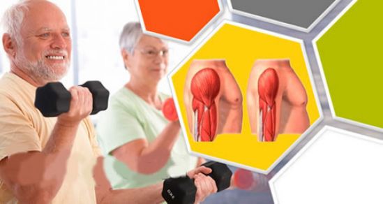 Nutrición muscular retrasa Sarcopenia que afecta a casi 12 millones de mexicanos