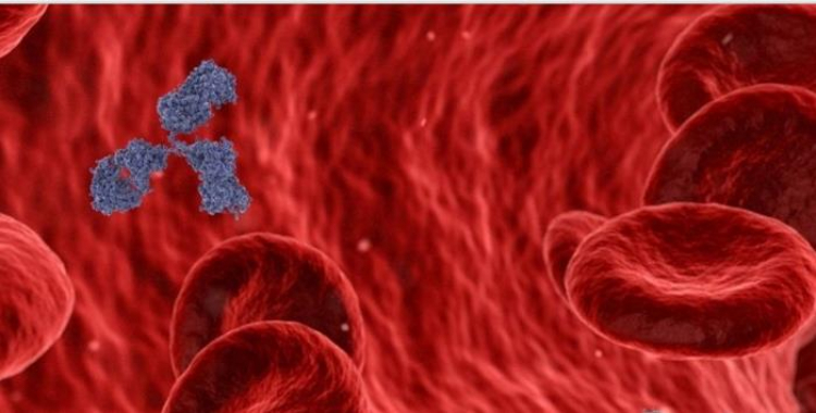 Inmunidad humana: la guerra interior