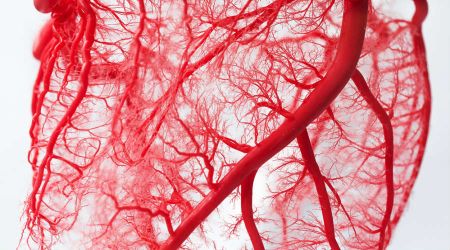 Eres tan viejo como tus vasos sanguíneos