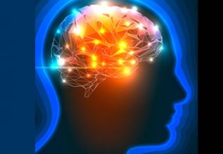 Autofagia, importante para detener el deterioro cerebral en la vejez