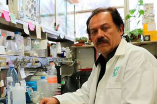 Experto del Cinvestav estudia nuevas alternativas para combatir cáncer de mama