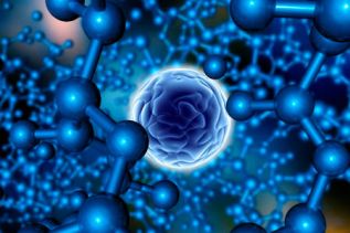 Descubiertas células zombi en cerebros de ratones antes de pérdida cognitiva