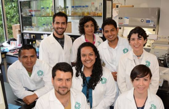 Científicos del CINVESTAV encuentran bacterias útiles para productos lácteos