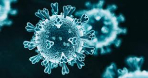 El nuevo Coronavirus Sars-Cov-2 tiene una tasa de mortalidad baja