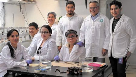 Analizan efectos cardioprotectores de sustancia análoga de la metformina,