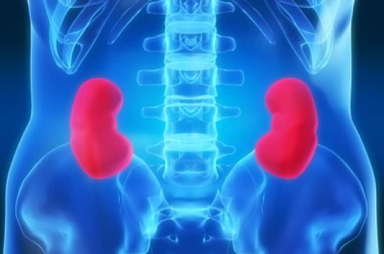 Retos que enfrentan los países con acceso limitado a tratamientos para cáncer de riñón