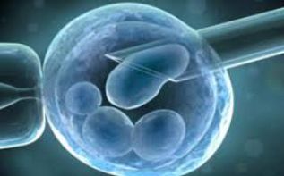 Continúa investigación de tratamiento con células madre para artritis