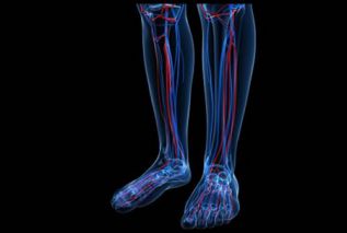 Estudio COMPASS demuestra eficacia abrumadora de rivaroxaban en enfermedad coronaria y enfermedad arterial periférica