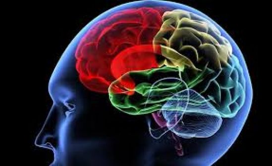 Las personas más inteligentes de México se reunirán en el Segundo Congreso Internacional de Sobredotación Intelectual