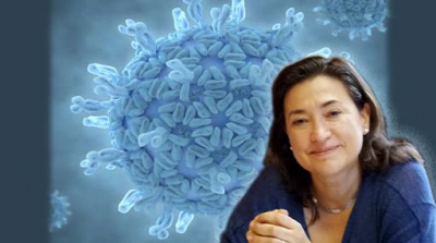 COVID-19, una epidemia de origen multifactorial