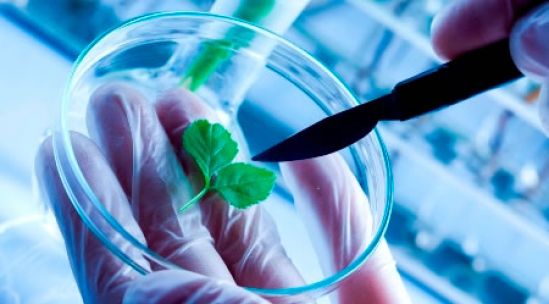 Industria de innovación farmacéutica invierte dos mil MDD contra resistencia microbiana