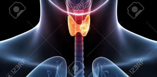 El 90 por ciento de casos de cáncer de tiroides pueden curarse