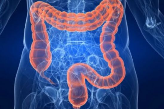 Tres de cada cuatro pacientes con intestino irritable padece síntomas durante al menos cinco años