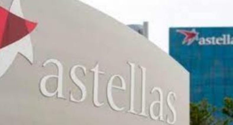 Diversidad e inclusión para garantizar la seguridad en el trabajo: Astellas Farma